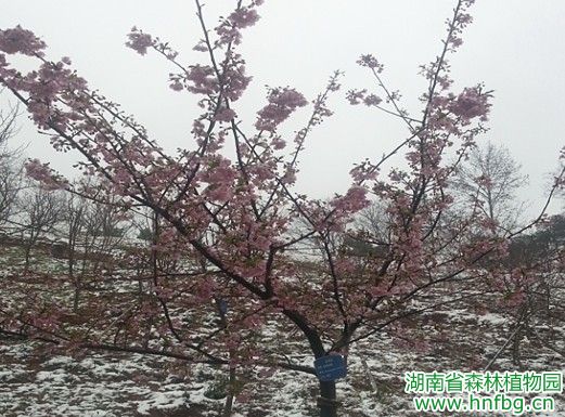 AG旗舰厅(中国游)官方网站