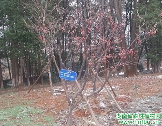 AG旗舰厅(中国游)官方网站