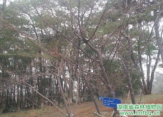 AG旗舰厅(中国游)官方网站
