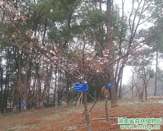 AG旗舰厅(中国游)官方网站