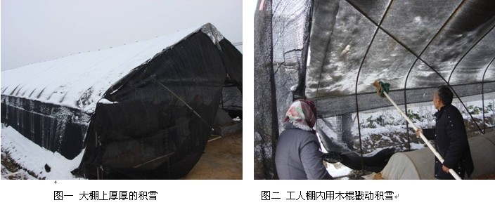 AG旗舰厅(中国游)官方网站