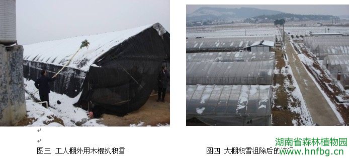AG旗舰厅(中国游)官方网站