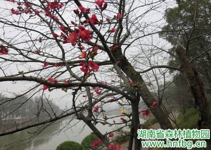 AG旗舰厅(中国游)官方网站
