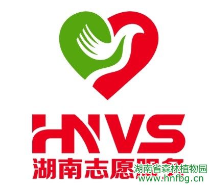 AG旗舰厅(中国游)官方网站