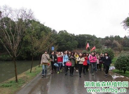 AG旗舰厅(中国游)官方网站