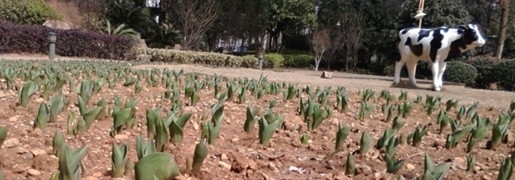 AG旗舰厅(中国游)官方网站