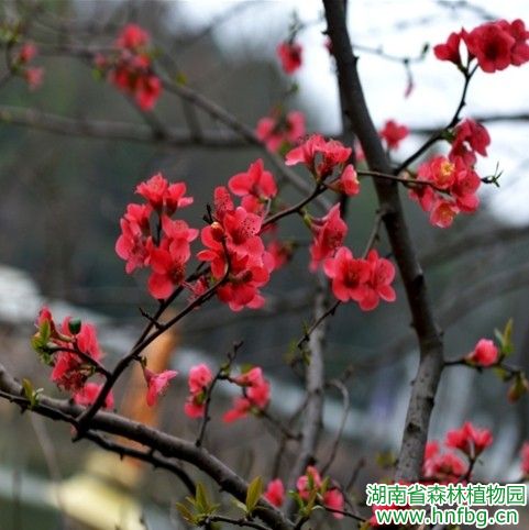 AG旗舰厅(中国游)官方网站