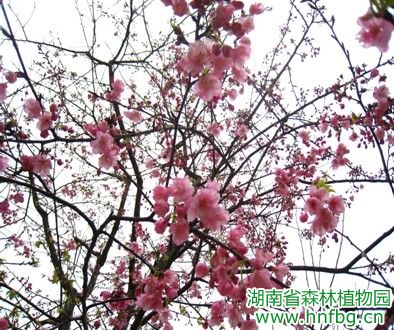 AG旗舰厅(中国游)官方网站