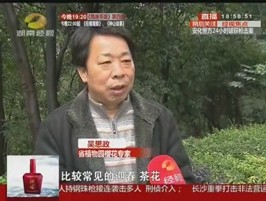 AG旗舰厅(中国游)官方网站