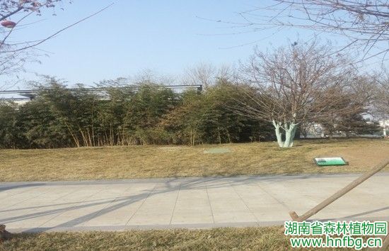 AG旗舰厅(中国游)官方网站