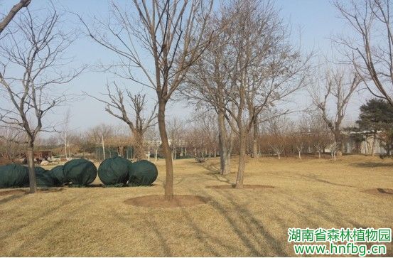 AG旗舰厅(中国游)官方网站