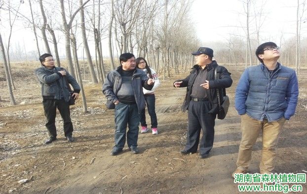 AG旗舰厅(中国游)官方网站