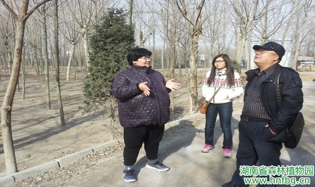 AG旗舰厅(中国游)官方网站