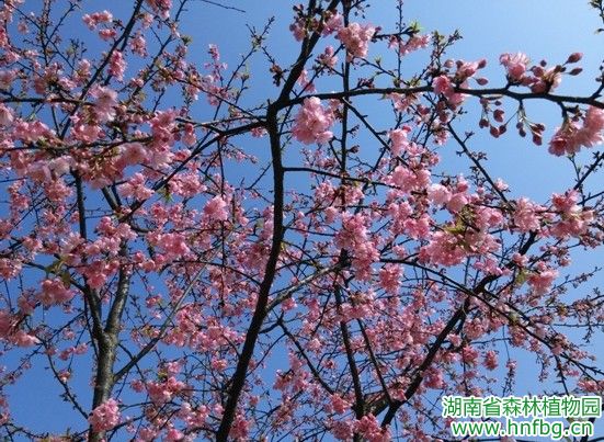 AG旗舰厅(中国游)官方网站