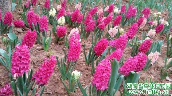 AG旗舰厅(中国游)官方网站