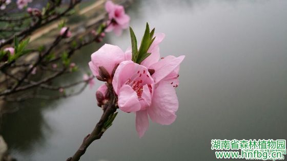AG旗舰厅(中国游)官方网站