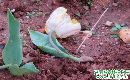 AG旗舰厅(中国游)官方网站