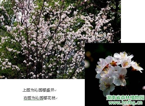 AG旗舰厅(中国游)官方网站