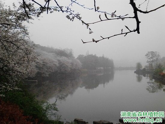 AG旗舰厅(中国游)官方网站
