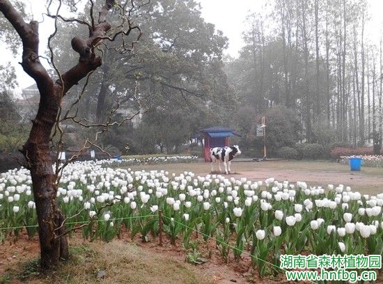 AG旗舰厅(中国游)官方网站
