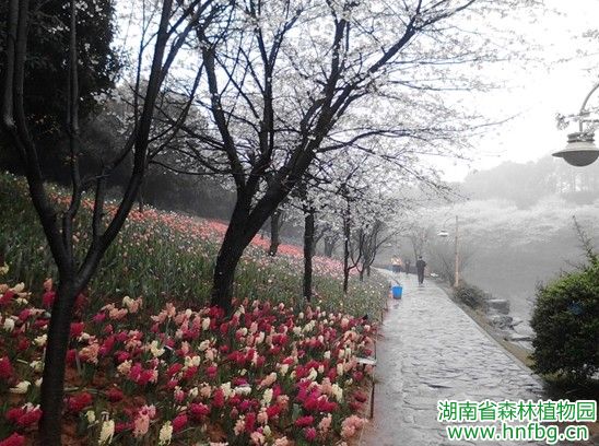 AG旗舰厅(中国游)官方网站