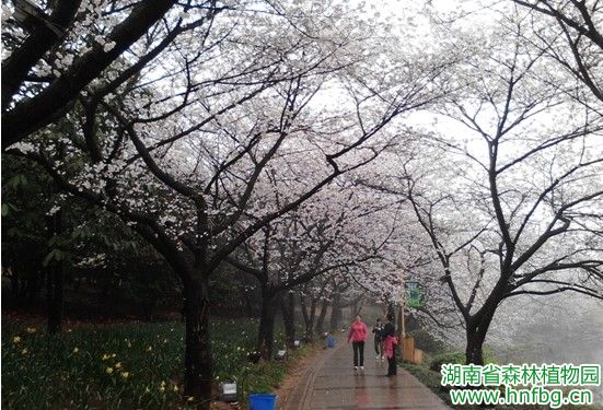 AG旗舰厅(中国游)官方网站