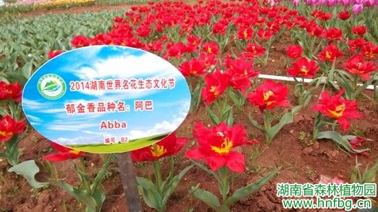 AG旗舰厅(中国游)官方网站