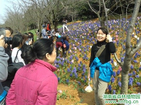 AG旗舰厅(中国游)官方网站