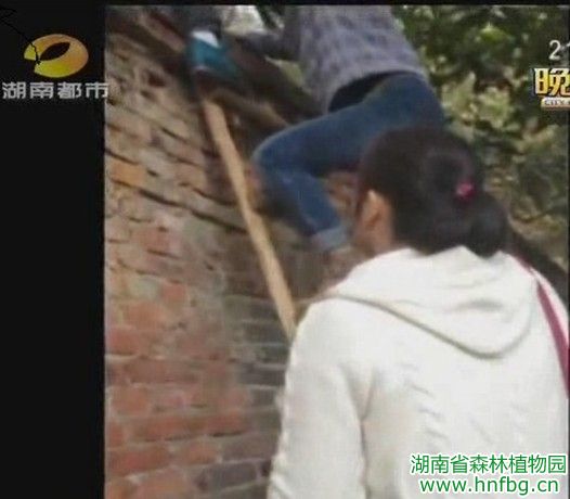 AG旗舰厅(中国游)官方网站