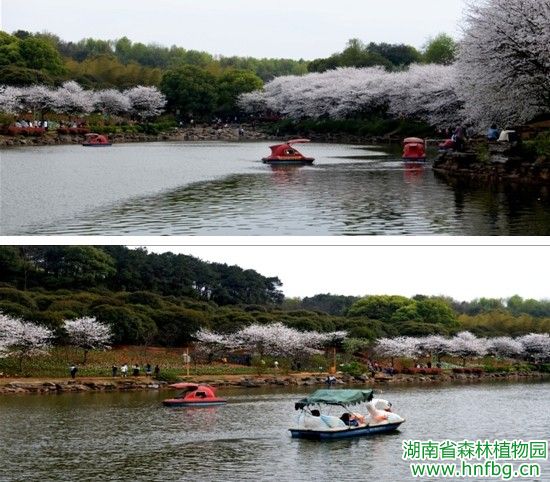 AG旗舰厅(中国游)官方网站