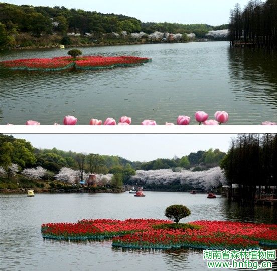AG旗舰厅(中国游)官方网站