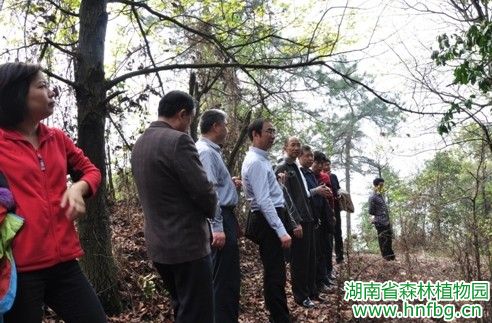 AG旗舰厅(中国游)官方网站