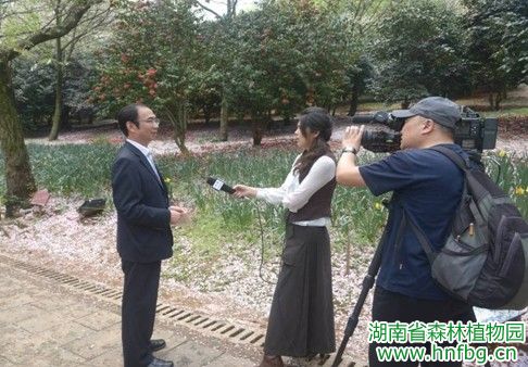 AG旗舰厅(中国游)官方网站