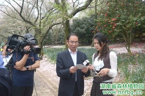 AG旗舰厅(中国游)官方网站