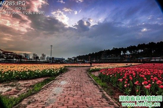 AG旗舰厅(中国游)官方网站