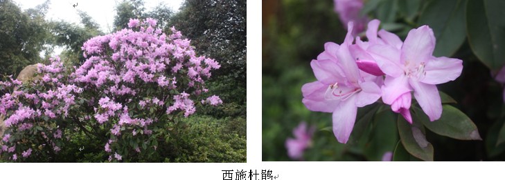 AG旗舰厅(中国游)官方网站