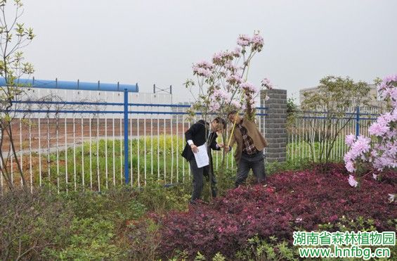 AG旗舰厅(中国游)官方网站