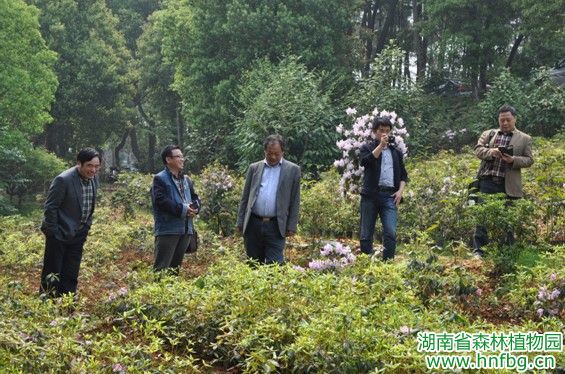 AG旗舰厅(中国游)官方网站