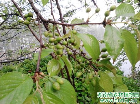 AG旗舰厅(中国游)官方网站