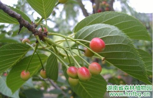 AG旗舰厅(中国游)官方网站