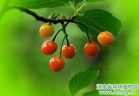 AG旗舰厅(中国游)官方网站