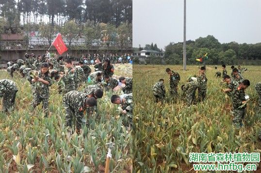 AG旗舰厅(中国游)官方网站