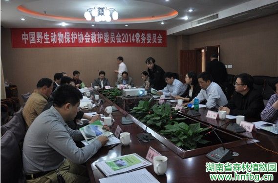 AG旗舰厅(中国游)官方网站
