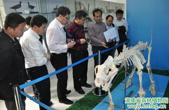 AG旗舰厅(中国游)官方网站