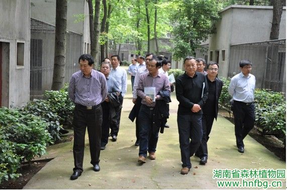 AG旗舰厅(中国游)官方网站