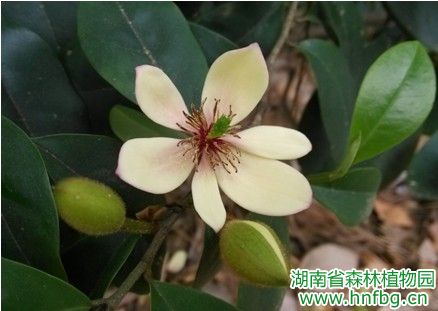 AG旗舰厅(中国游)官方网站
