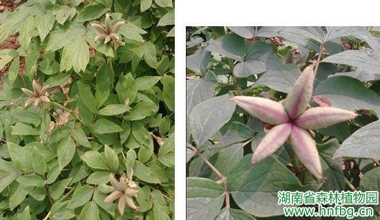 AG旗舰厅(中国游)官方网站