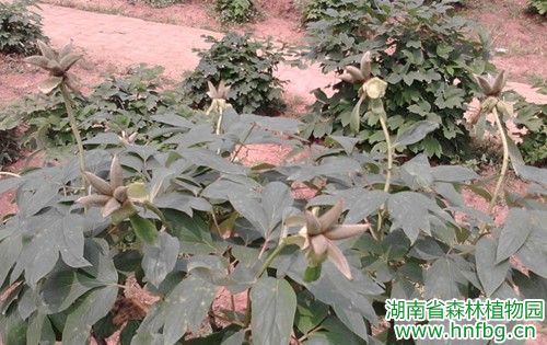 AG旗舰厅(中国游)官方网站