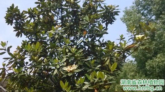 AG旗舰厅(中国游)官方网站