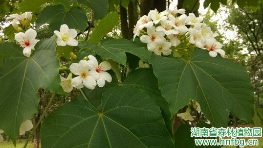 AG旗舰厅(中国游)官方网站